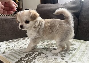 のイメージ