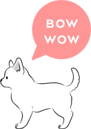 BOW WOW