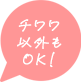 チワワ以外もOK!